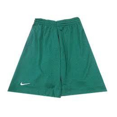 Team Sports Short Junior (302/verde)