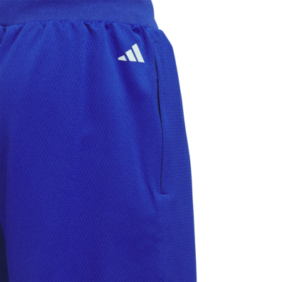 Adidas Basketball Select Shorts "Blue Royal"