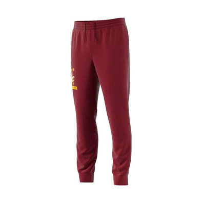 Adidas NBA Cavaliers Fanwear Fleece Pants (grenat)