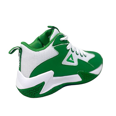 AH23 Peak Game 2 Junior "Boston Celtics"