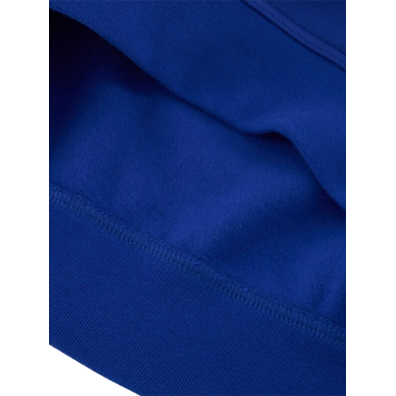 Champion Embroidered Big Logo Fleece Hoodie "Blue"