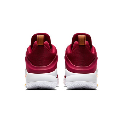 Lebron Zoom Witness "Cavaliers" (601)