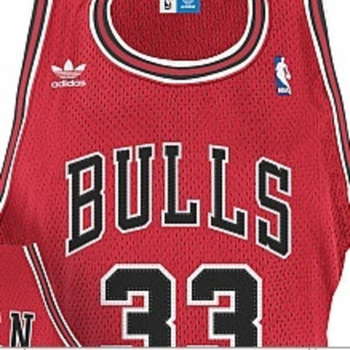 Adidas Camiseta Bordada Pippen Bulls (roja/blanco)