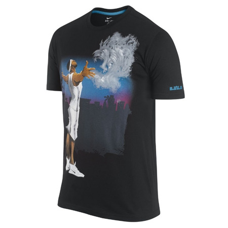 Camiseta Lebron Painting (010/negro)