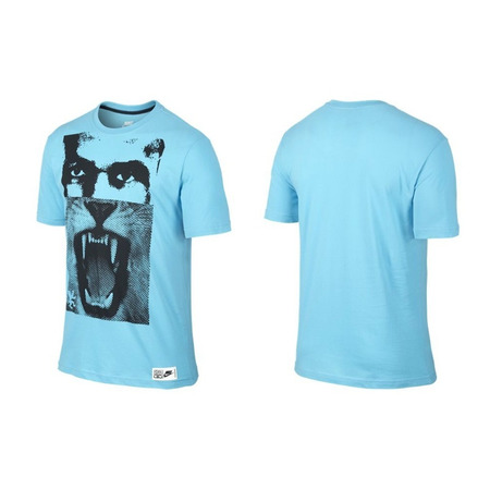 Camiseta Lebron Fashion (461/celeste/negro)