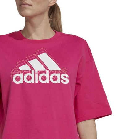 Adidas Essentials Multi-Colored Logo Loose Fit Cropped