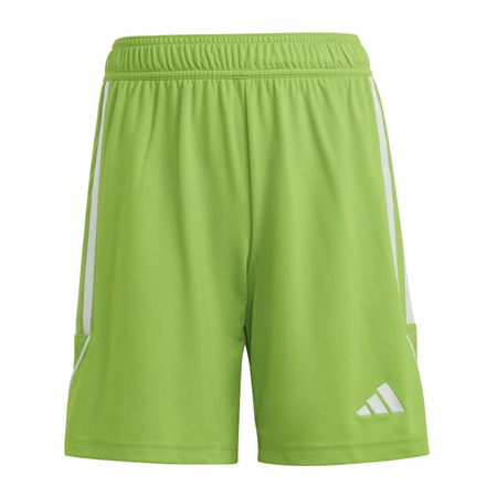 Adidas Junior Tiro 23 League Short  "Semi Sol Green"