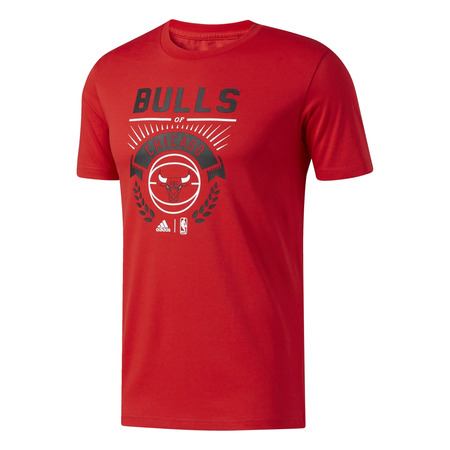 Adidas NBA Chicago Bulls Graphic 4 Tee (rouge)