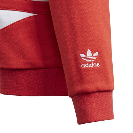 Adidas Originals Kids Big Trefoil Hoodie