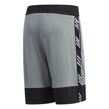 Adidas Pro Madness Short