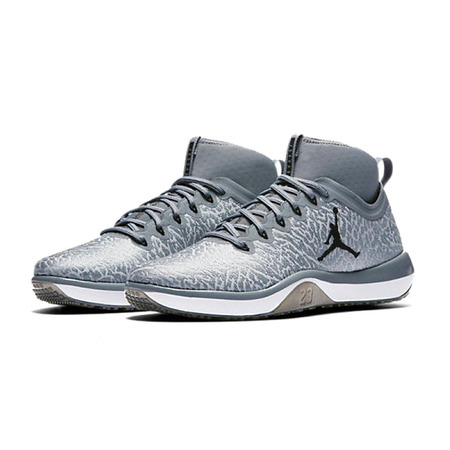 Air Jordan Trainer 1 "Cool Grey" (002/cool grey/black)