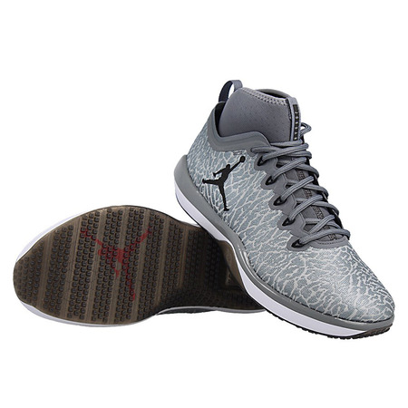 Air Jordan Trainer 1 "Cool Grey" (002/cool grey/black)