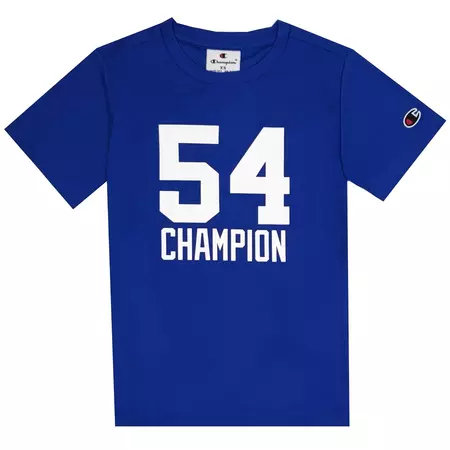 Champion Basketball Kids Sport Lifestyle Big Braphic Mesh Tee "Blue"