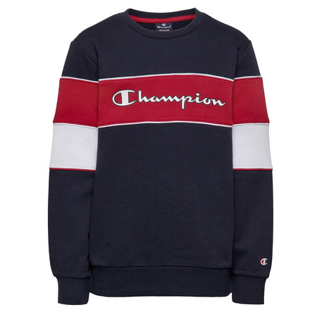 Champion Kids Classic Modular Blocking Color Crewneck Sweatshirt (BS501)