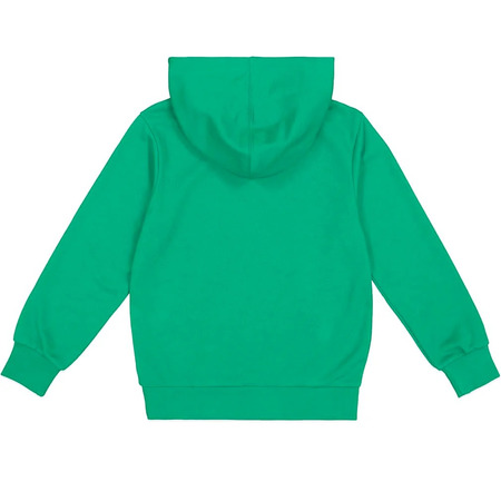 Champion Kids Felpa Legacy Graphic "Green"