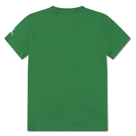 Jordan Kids JBD JM 23 Mesh SS Tee "Pine Green"