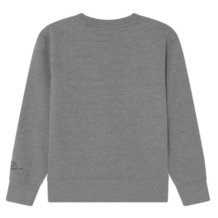 Jordan Kids Jumpman Essentials Crew Sweat "Carbon"