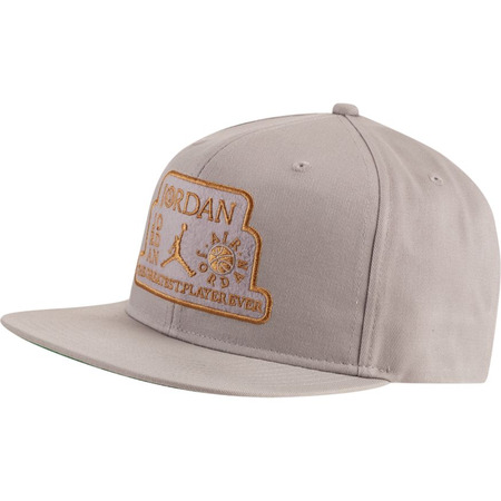 Jordan Pro Trophy Hat Cap (grey)