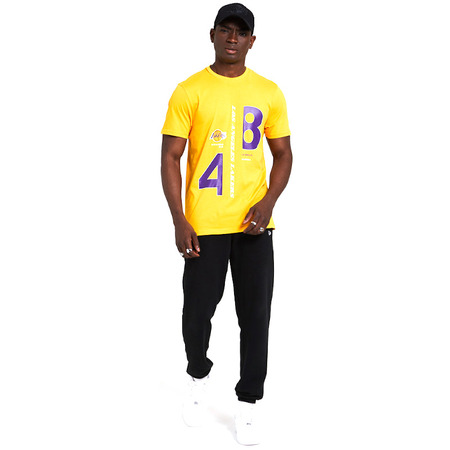 New Era L.A. Lakers Established Graphic T-Shirt