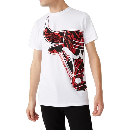 New Era NBA Chicago Bulls Oil Slick Infill Logo T-Shirt