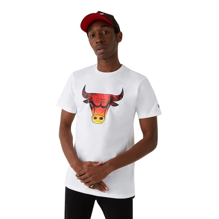 New era NBA Chicago Bulls Summer City Infill