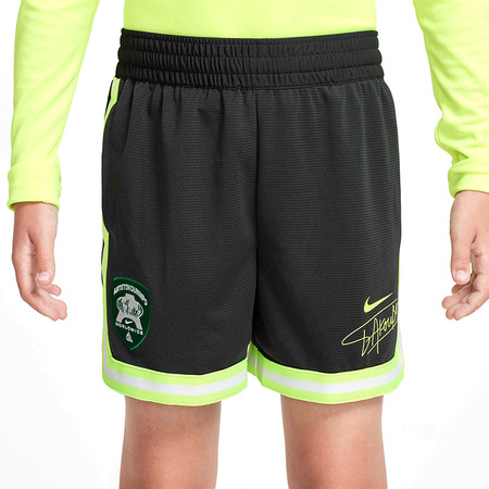 Nike Giannis DNA Short "SmokeGrey Volt"