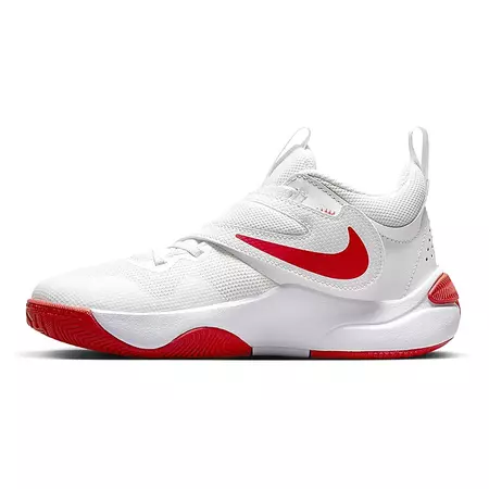 Nike Team Hustle D 11 (GS) "Summit White"