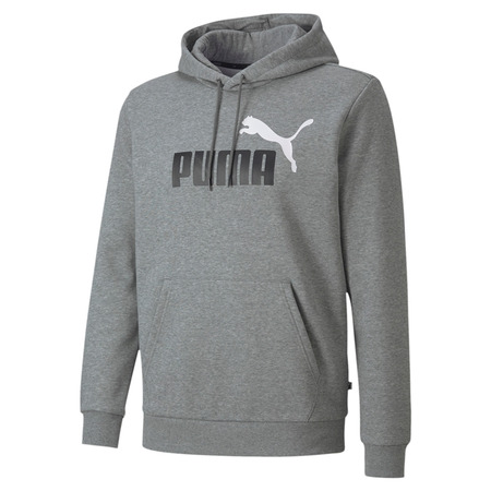 Puma Essentials 2 Col Hoody FL Big Logo