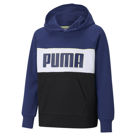 Puma Junior Alpha Hoodie TR