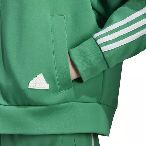 Adidas Future Icons 3-Stripes Full-Zip Hoodie