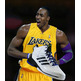 Adidas Dwight Howard Light "Lakers Home" (blanco/negro/purple)