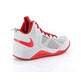 Nike Dual Fusion BB (GS) (008/wolf grey/university red)