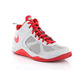 Nike Dual Fusion BB (GS) (008/wolf grey/university red)