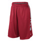 Nike Short Elite Stripe (657/rojo/gris)