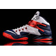 Nike Zoom LeBron Soldier VIII "USA" (114/blanco/navy/rojo)