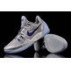 Nike Zoom Kobe Venomenon 5 "Nice Grey" (050/wolf grey/purple/grey)