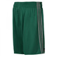 Adidas NBA Shorts Reversible Fan Wear Boston Celtics (verde/gris)