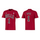 Adidas NBA Camiseta Gametime Rose Bulls (rojo/negro/blanco)