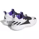 Adidas Damian Lillard Certified Extply 2.0 "Rafmor Dame"