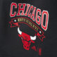 Adidas NBA Washed Short Chicago Bulls(Noir)