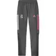 Adidas Training Real Madrid 20/21 Pants Youth "Grey Five"