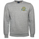 Champion Basketball Graphic Crewneck Sweatshirt "Washington"