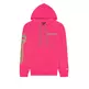 Champion Legacy Spray Neon Hooded Sweatshirt