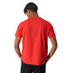 Champion Multicolour Bookstore Cotton T-Shirt "Red"