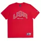 Champion Sport Lifestyle Basketball USA Logo Comfort Fit T-Shirt "Red"