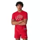 Champion Sport Lifestyle Basketball USA Logo Comfort Fit T-Shirt "Red"