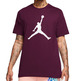 Jordan Jumpman Men's T-Shirt