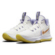 LeBron Witness 5 "Summit White"