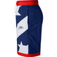 Nike Dri-FIT Throwback Basketball Shorts (492)