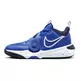 Nike Team Hustle D 11 (GS) "Royal"